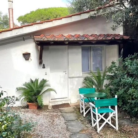 Il Platano Con Giardino Beachfront * Forte dei Marmi